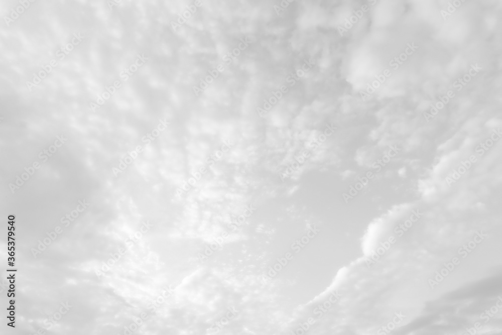 white cloud background and texture