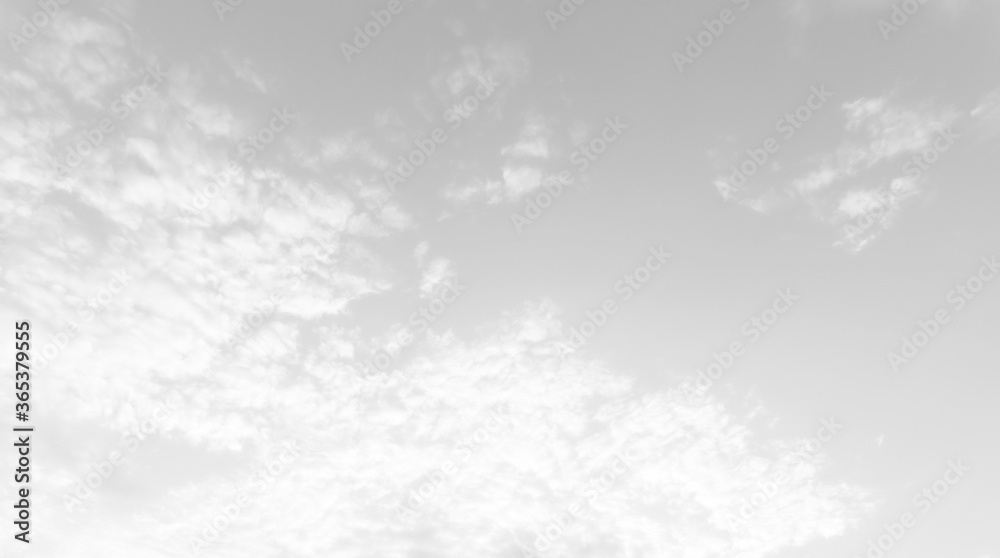 Obraz premium white cloud background and texture