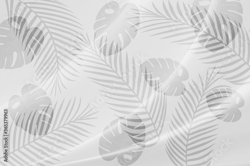 The leaf pattern on the  brick wall can be used as a background.