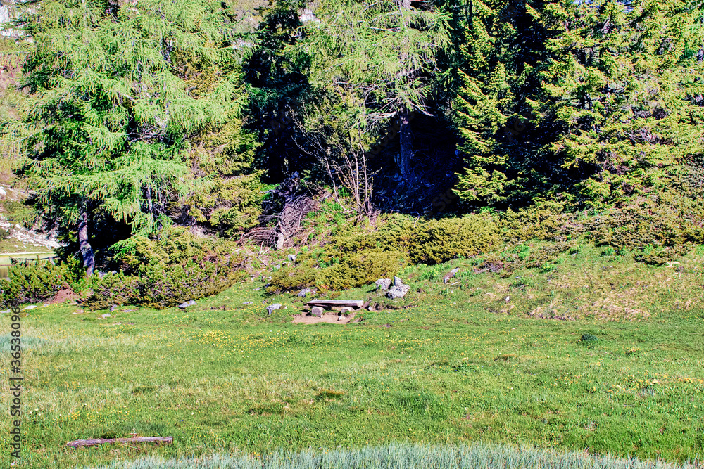 in the mountains, Tauplitzalm in styria in the mountains, Tauplitzalm in styria