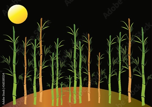 oriental bamboo background
