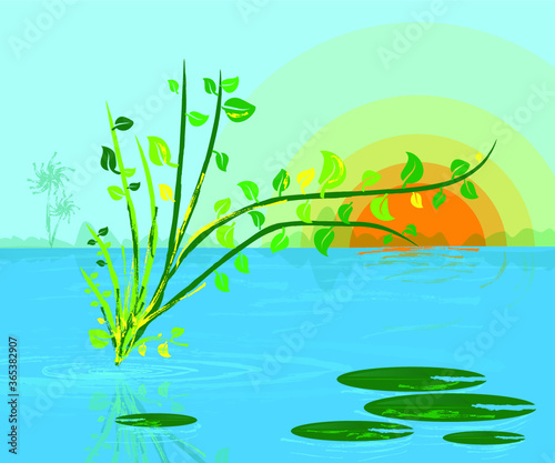 Fototapeta Naklejka Na Ścianę i Meble -  Nature with water, sky, sun and water plants floating above water. Blue water and sky and nature vector illustration.
