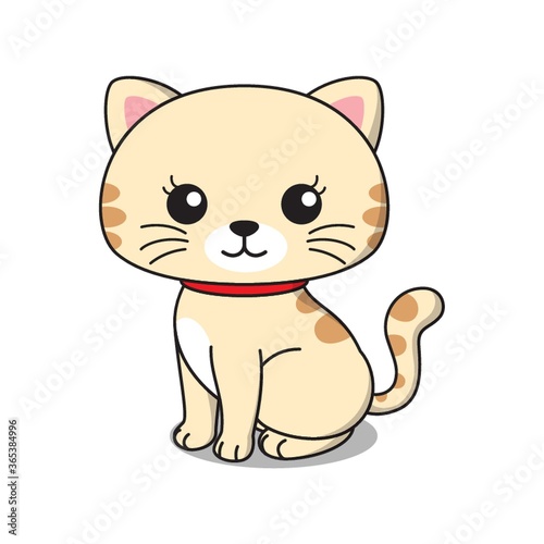 cat