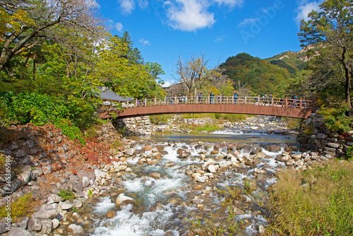 A wooden bridge in Seoraksan National Park