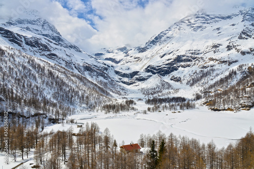 View of snow mountain along Bernina Express train