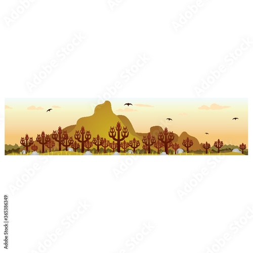 wilderness landscape