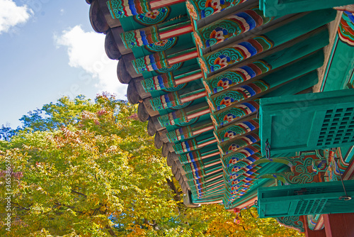 Korean palace style roof