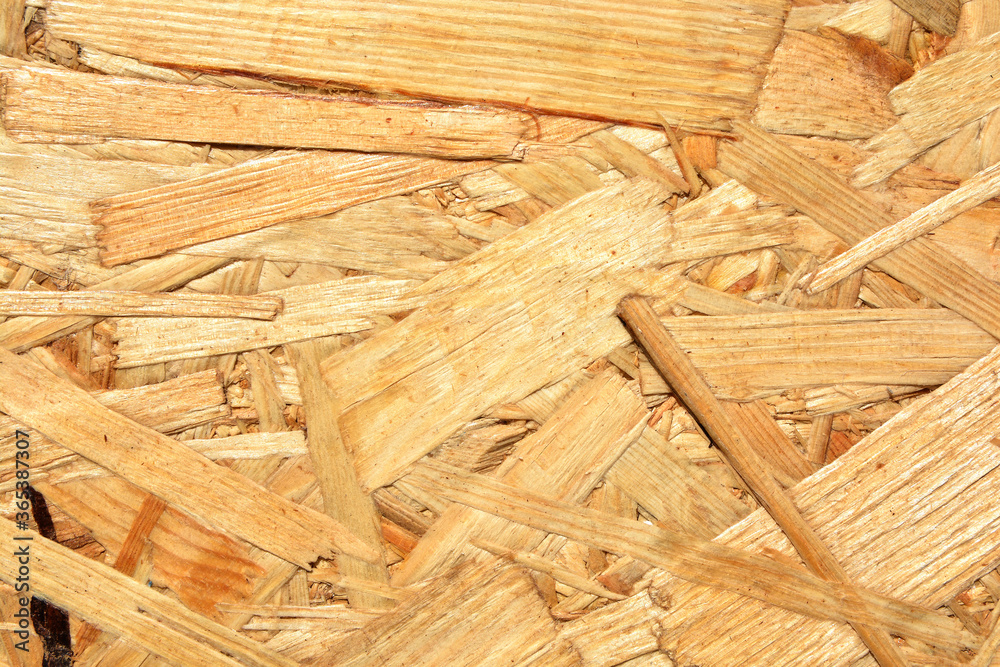 Background of wood plywood from pressed sawdust Background of wood plywood from pressed sawdust