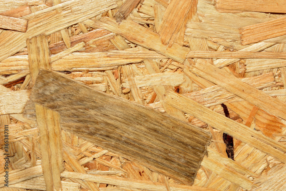 Background of wood plywood from pressed sawdust Background of wood plywood from pressed sawdust