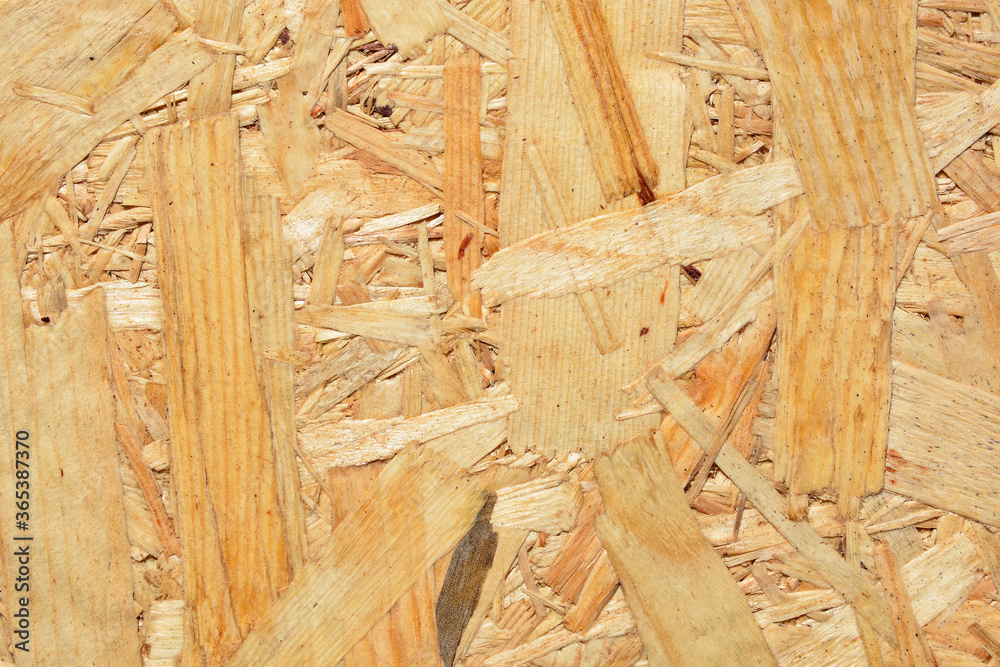 Background of wood plywood from pressed sawdust Background of wood plywood from pressed sawdust