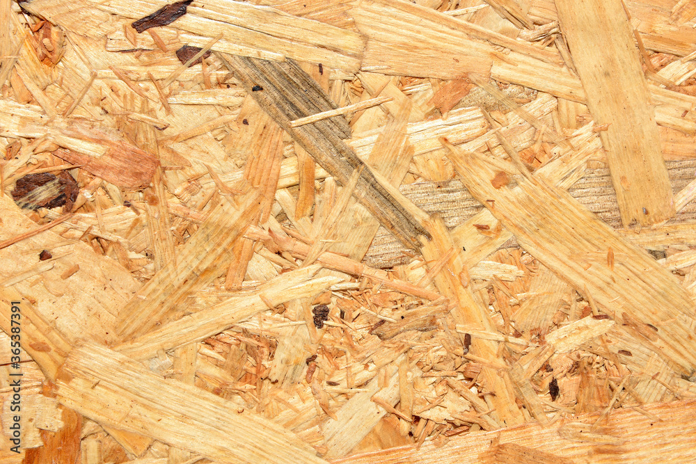 Background of wood plywood from pressed sawdust Background of wood plywood from pressed sawdust