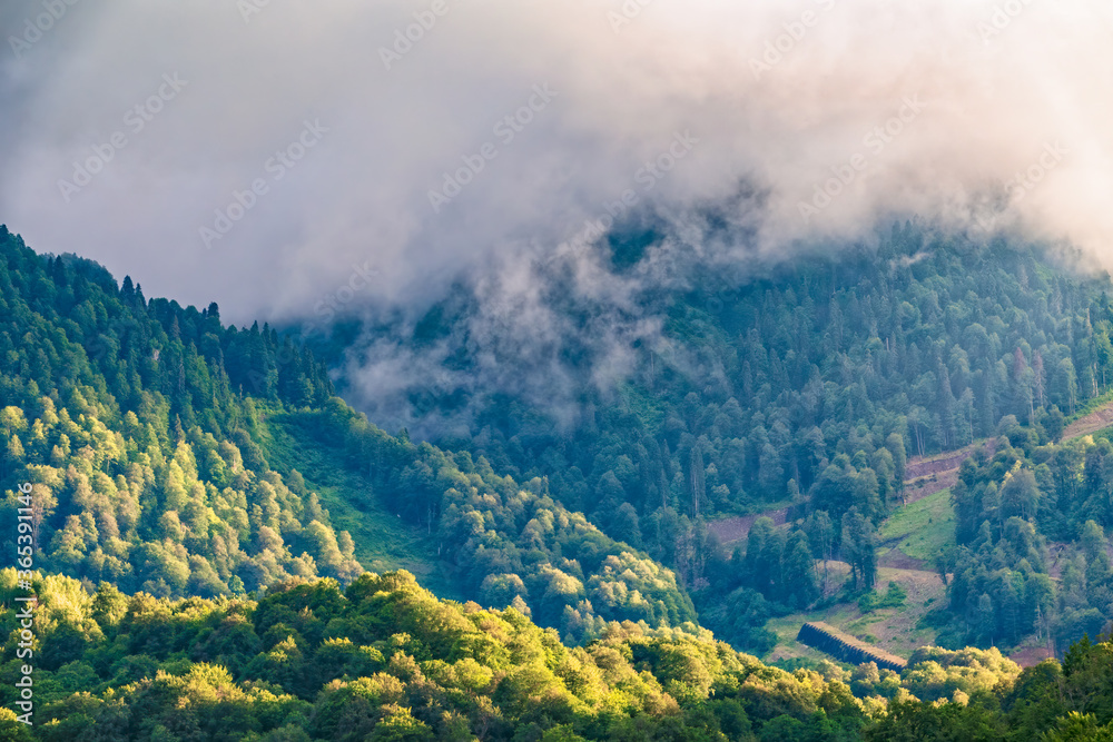 High mountain with green slopes hidden in clouds and fog. Mystical forest on a mountainside in heavy fog.