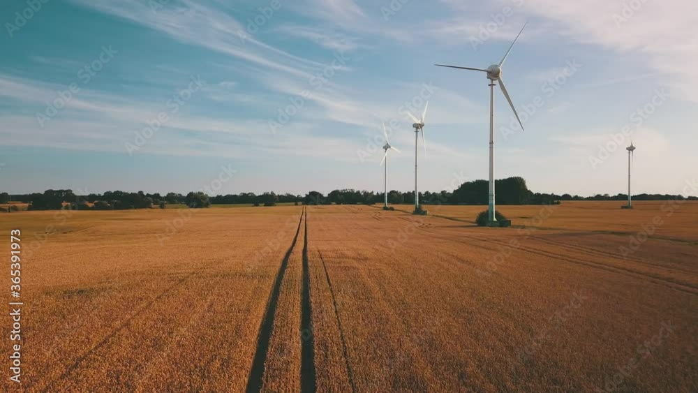 Beautiful golden brown wheat field in the early evening and wind turbines. Beautiful golden brown wheat field in the early evening and wind turbines.