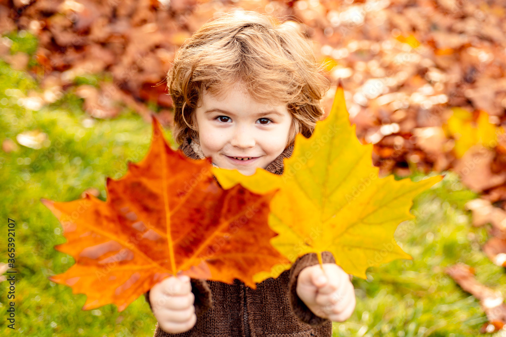 Cute little boy playing with leaves in autumn park. Cute little boy playing with leaves in autumn park.