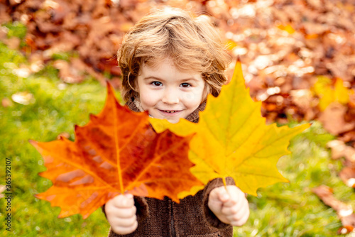 Cute little boy playing with leaves in autumn park.