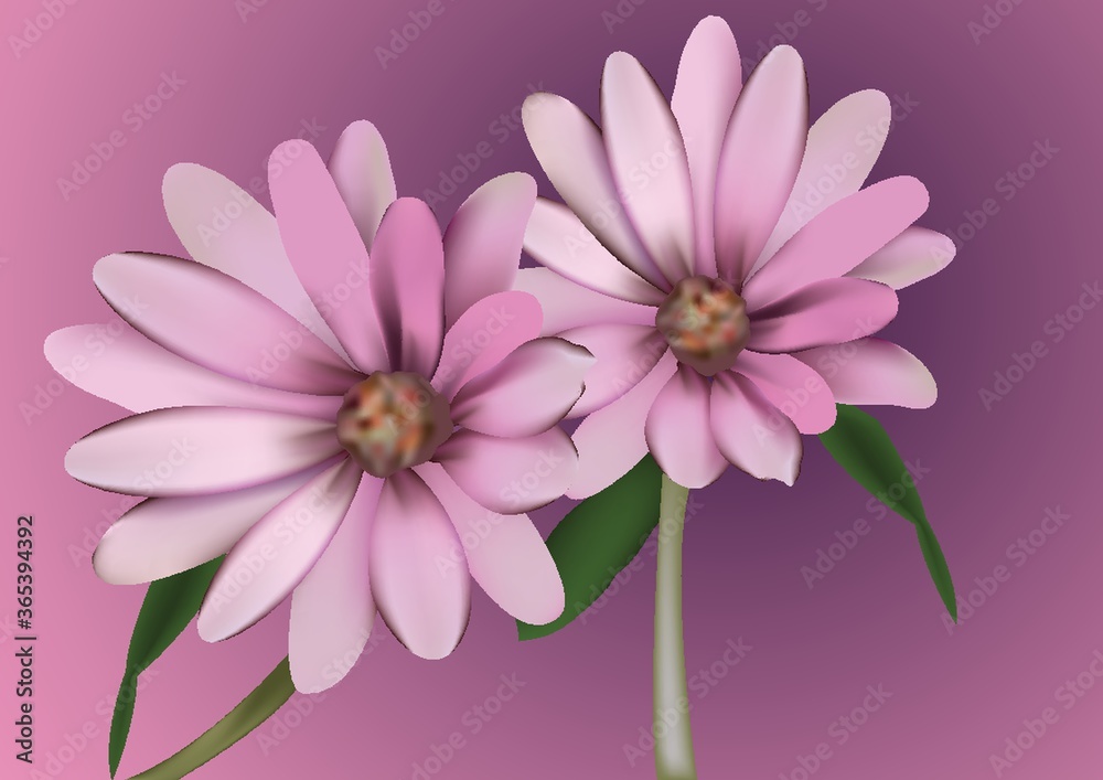 flower flower