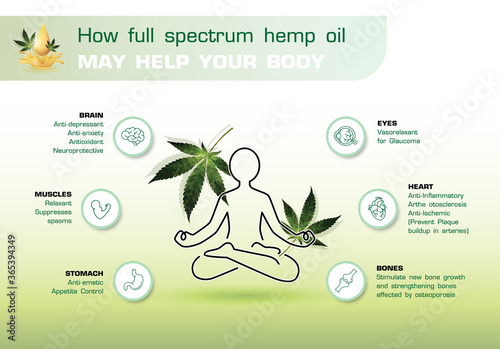 How full spectrum hemp oil may help your body, cbd oil  health active on your body and your mind infographic.