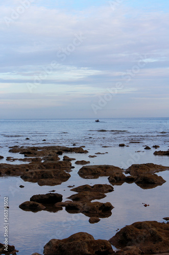 Fototapeta Naklejka Na Ścianę i Meble -  Seaside view of the low tide at dawn, Tioman Island