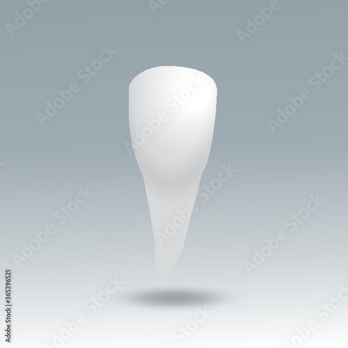incisors tooth