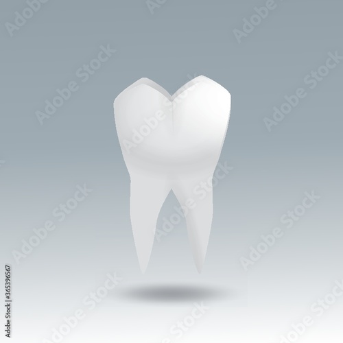 molar tooth