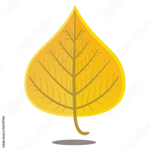 yellow autumn leaf