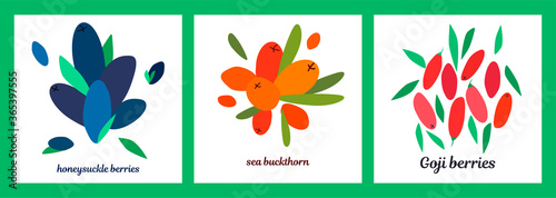 set of three illustrations with honeysuckle, sea buckthorn, goji berries and leaves. modern abstract design for packaging, print for clothes, fabric. for juice and jam dessert