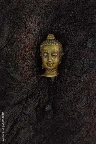 head of a Buddha on tree bark background. Buddha face on big old tree root. religion art national concept. Buddhism culture symbol. relax, travel, vacation, spa theme. copy space