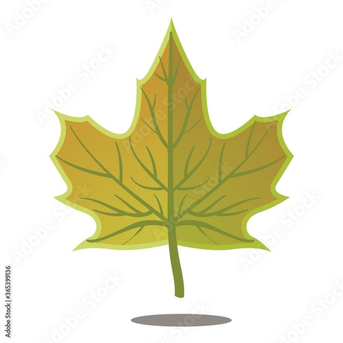yellow autumn leaf