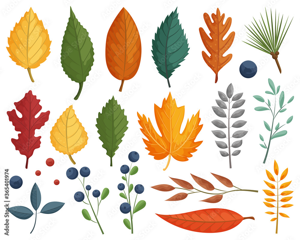 Collection of colorful autumn leaves and berries. Design elements for print, greeting card, poster, banner, fabric. Vector illustration. Collection of colorful autumn leaves and berries. Design elements for print, greeting card, poster, banner, fabric. Vector illustration.