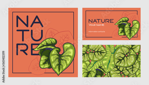 nature business card template, with a lot of leaves on a red background