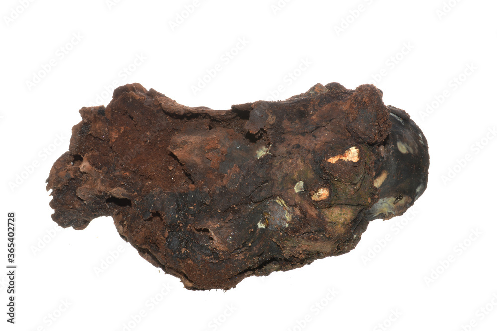 firewood isolated on white background firewood isolated on white background