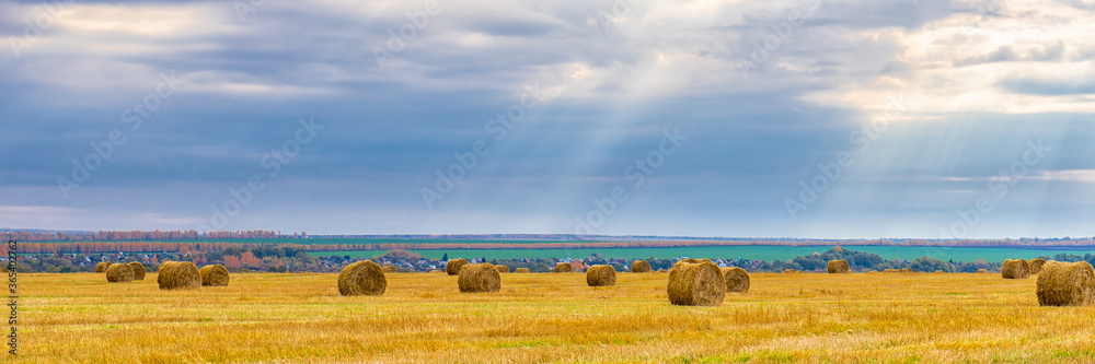 Picturesque autumn landscape with beveled field and straw bales in cloudy day. Beautiful agriculture background, wonderful nature, rustic life concept. Panoramic view, banner, wide format