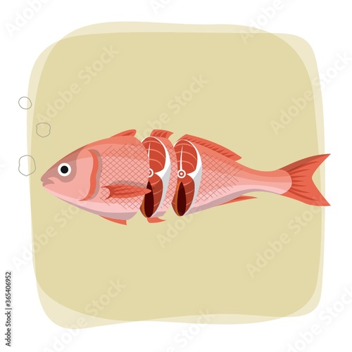 fish cut concept