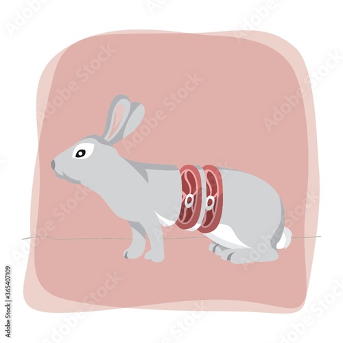 rabbit cut concept