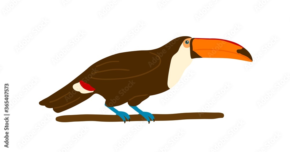 Fototapeta premium Colorful toucan sitting on branch vector flat illustration. Exotic bird with big beak isolated on white background. Bright tropical feathered creature with wings. Gorgeous wild jungle inhabitant