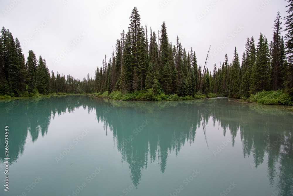 Symmetrical picture of the trees reflected on the surface of Emerald lake.   Yoho national park BC Canada
