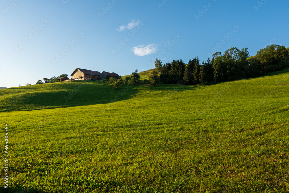 Summer in the fields of Austria in the sunset Austria