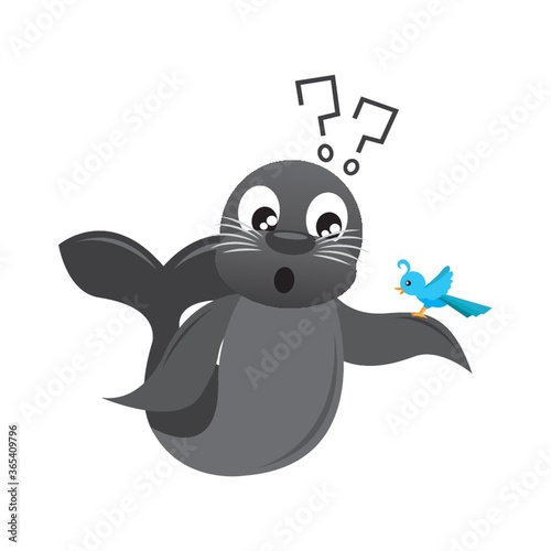 seal animal confused about bird