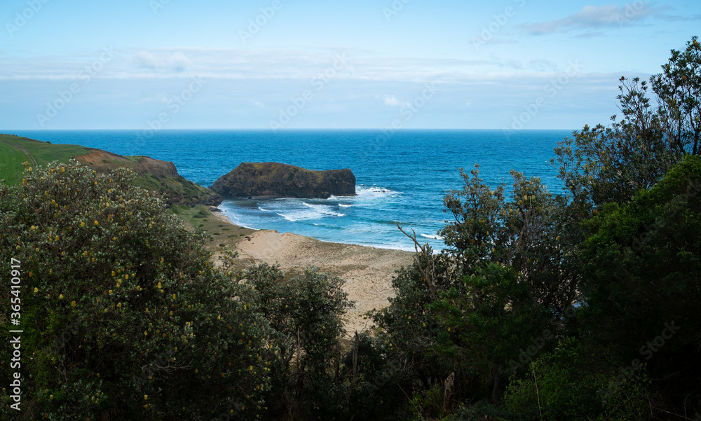 Large rock on the coast of Cape Schanck at Mornington Peninsula in Victoria, Australia