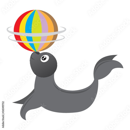 seal animal spinning ball on nose