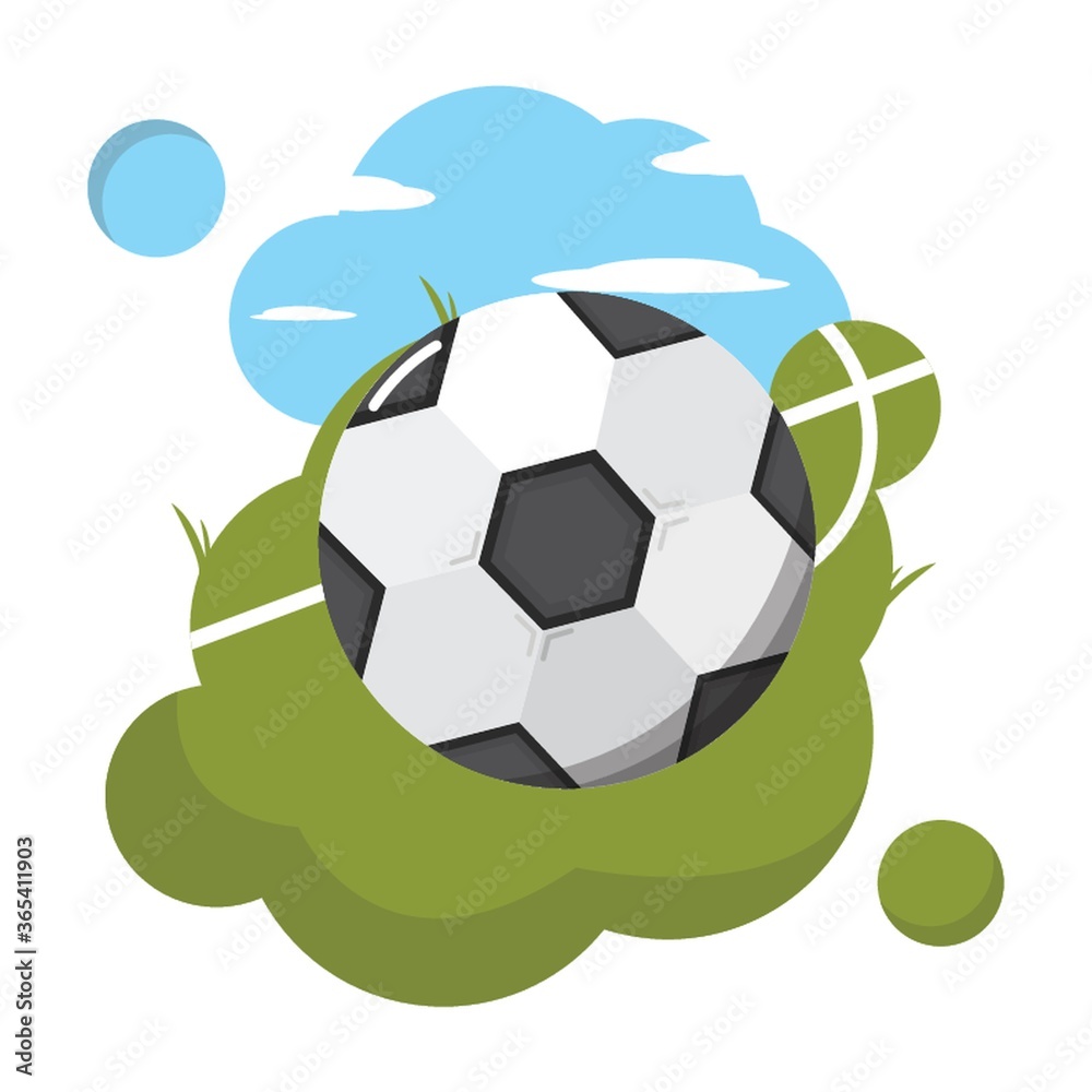 Fototapeta premium soccer ball