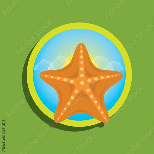 starfish