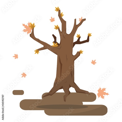 autumn bare tree