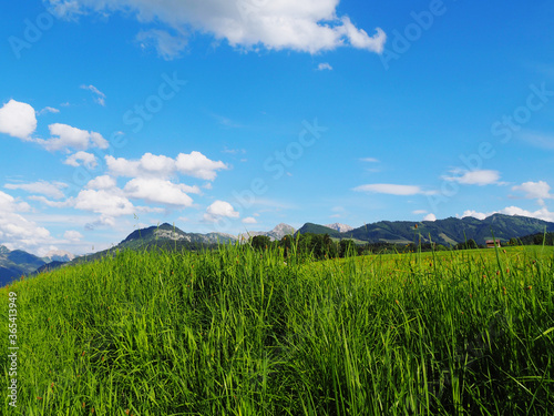 tranquil view at mountains in Bavaria against blue sky