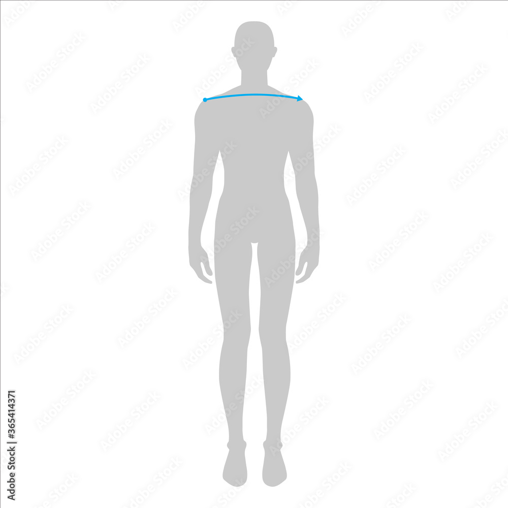 Men to do shoulder width measurement fashion Illustration for size chart. 7.5 head size boy for site or online shop. Human body infographic template for clothes. Men to do shoulder width measurement fashion Illustration for size chart. 7.5 head size boy for site or online shop. Human body infographic template for clothes.