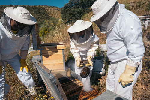 Beekeepers working to collect honey. Organic beekeeping concept.