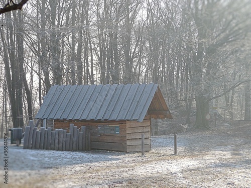 Eine Holzhütte in einem Wald mit Schnee und Raureif und Morgensonne.
