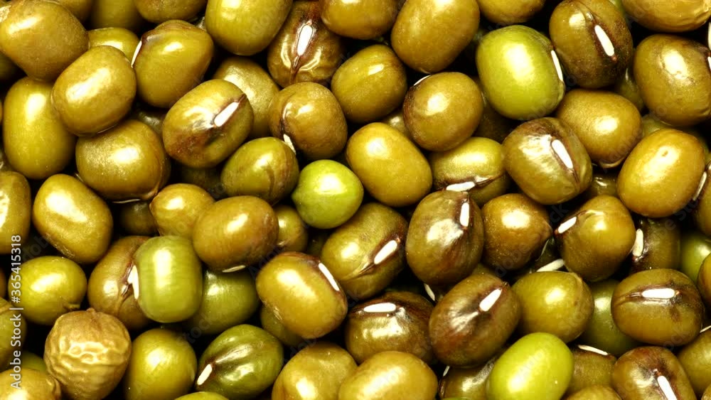 Green bean or mung bean, Dolly shot or move camera Green bean or mung bean, Dolly shot or move camera
