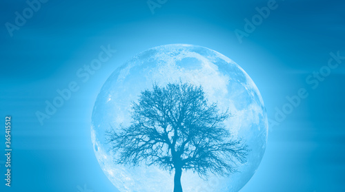 Beautiful landscape with lone tree full moon in the background  "Elements of this image furnished by NASA" © muratart