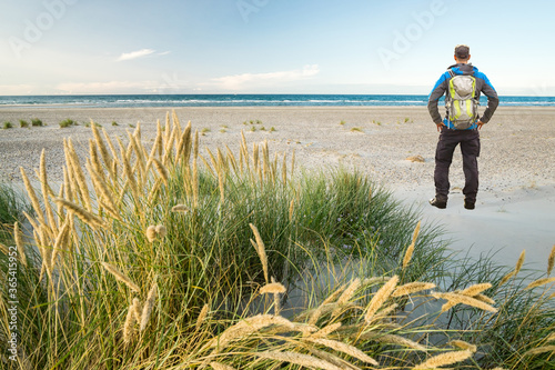 Fototapeta Naklejka Na Ścianę i Meble -  Man with Backpack hiking in beautiful windy coastal dune marram grass towards beach of North Sea in soft evening sunset sunlight. Skagen Nordstrand, Denmark. Skagerrak, Kattegat.